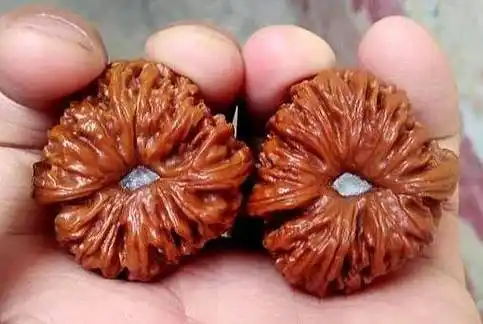 如何把玩出一对晶莹剔透的文玩核桃?_走色_后期_颜色