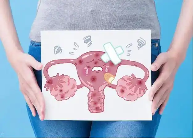 例假|子宫|月经期_网易订阅