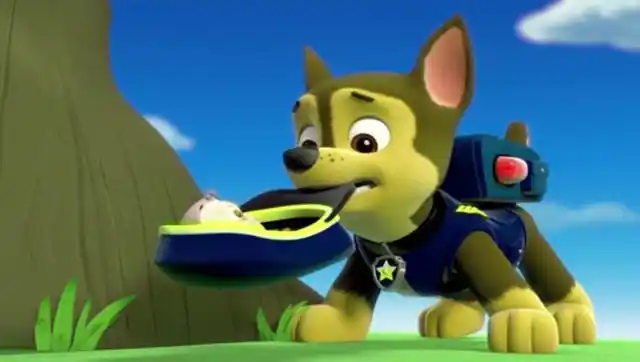 狗狗巡逻队 阿奇表演杂技大家都很喜欢 汪汪队立大功