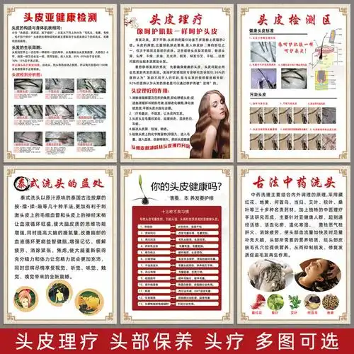 头皮保养海报植发生发挂图脱发养发头疗广告画头部头皮检测区