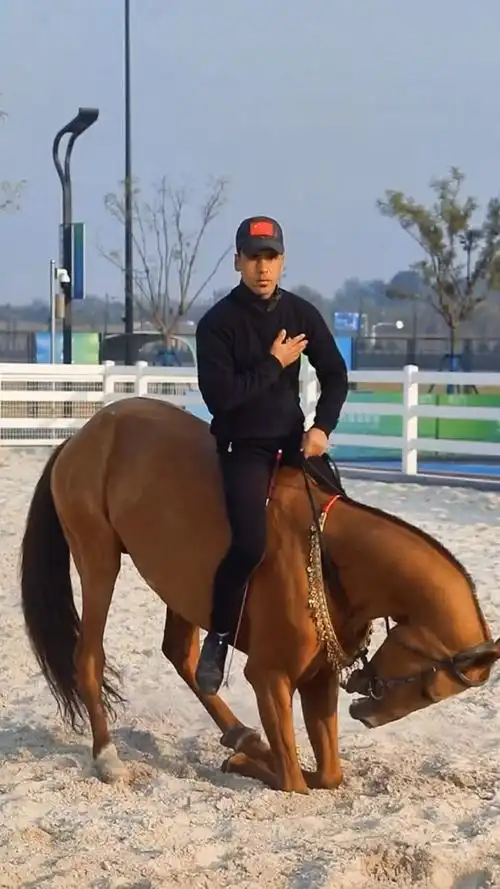 养马#来自汗血马的最高礼仪!