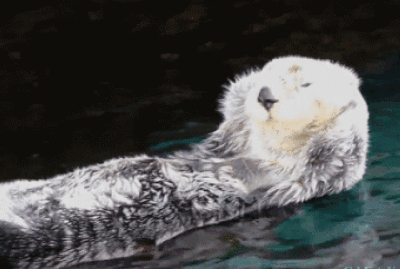 洗脸动图图片_洗脸动图动态图_洗脸动图表情包gif动图下载_soogif