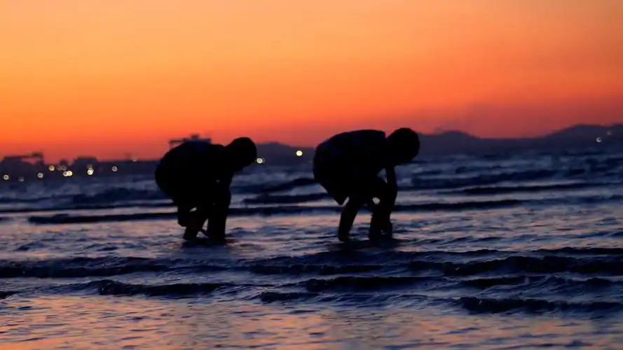 兄弟俩在夕阳下的剪影