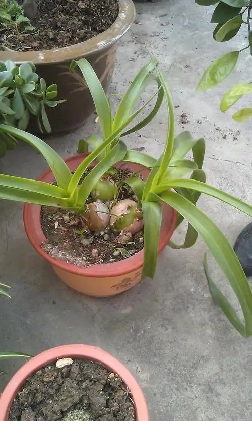 提问者兰 谢谢啦!