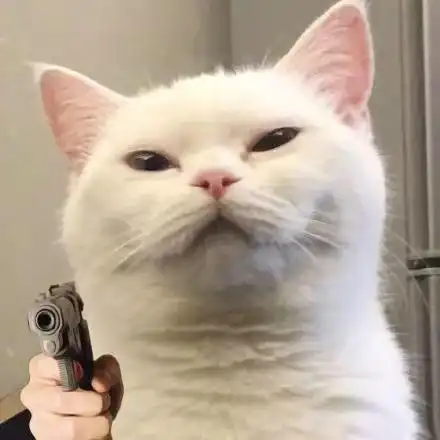 猫咪拿枪表情包_拿枪_猫咪表情