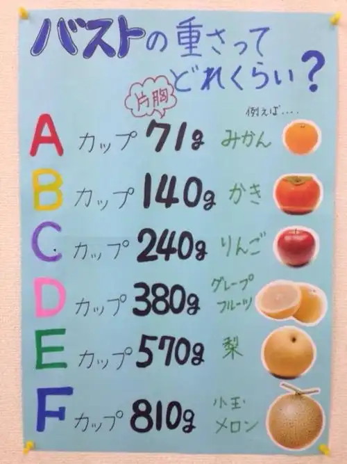 [男女] a～f罩杯究竟是什麼概念?一张图帮你秒懂胸部到底有多重