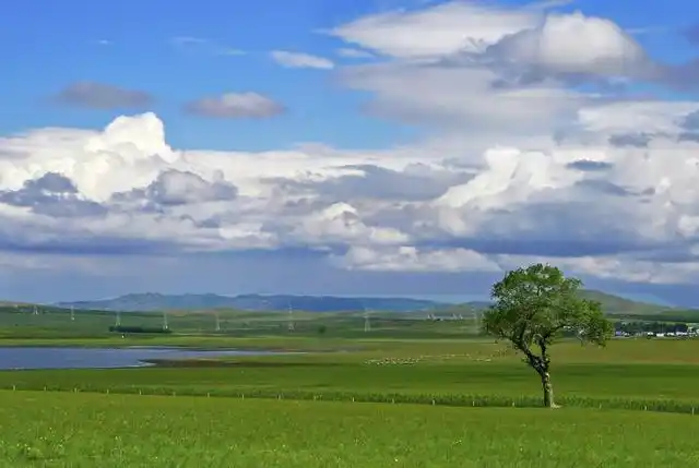 浩瀚广阔的大草原,一望无边的美景,这几处草原你都去过吗?