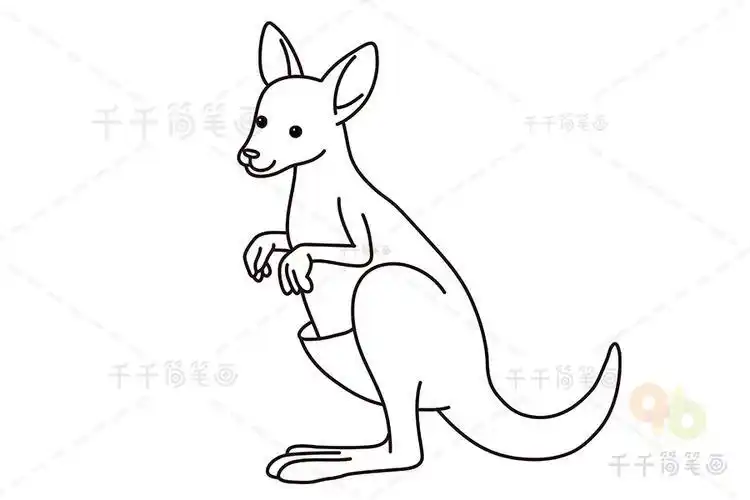花袋鼠的简笔画大图
