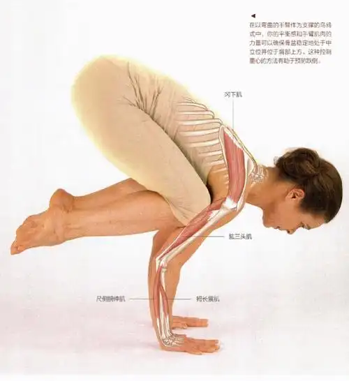 与孩子一起玩耍时或者想要缓解怀孕和分娩期间的痛苦时,深蹲都是理想