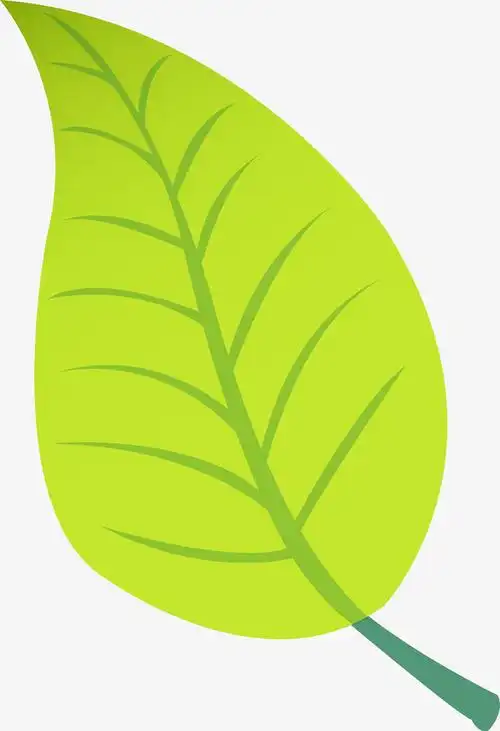 绿色卡通小叶子素材图