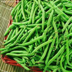 短豆角