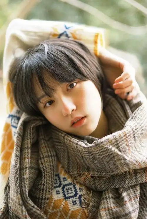 审美集诸葛大力成果写真集