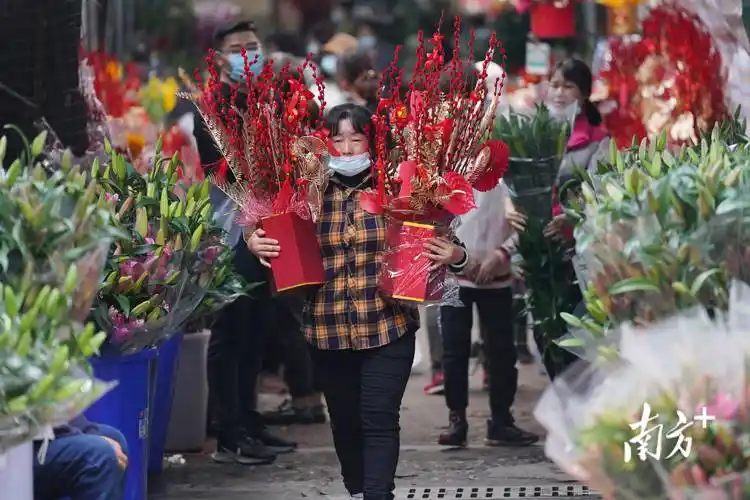 多图春节临近东莞市民逛花街采购忙