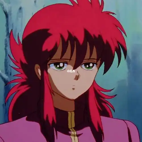 妖狐藏马排村剑心