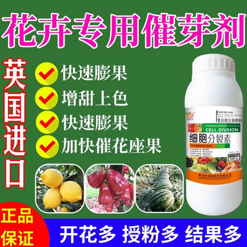 花卉专用催芽剂叶面肥果树蔬菜保花保果催花授粉座果灵促花水溶肥