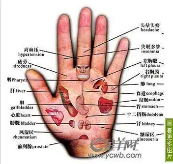 怎样从手掌区看疾病 - 好网角收藏夹