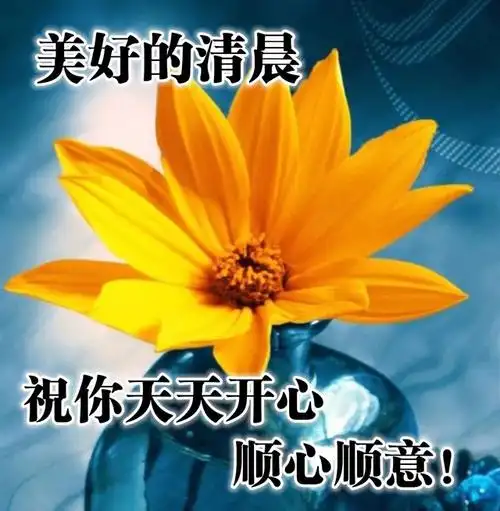 暖心早安问候语 愿你的好心情总在每天天亮后!