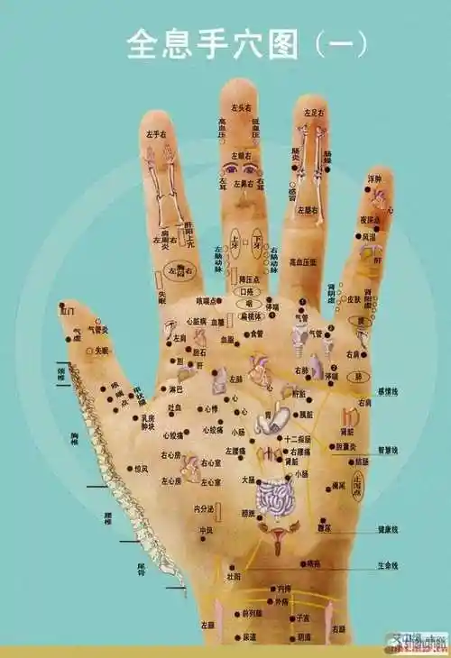 赵海峰的博客-人体全息图,健康按摩要学习一下!