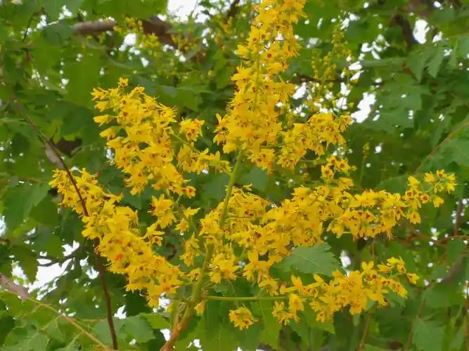 2020.多彩夏天【5】