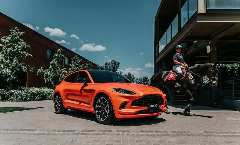 300w左右的suv,真不好选,阿斯顿·马丁dbx是这两年的新宠