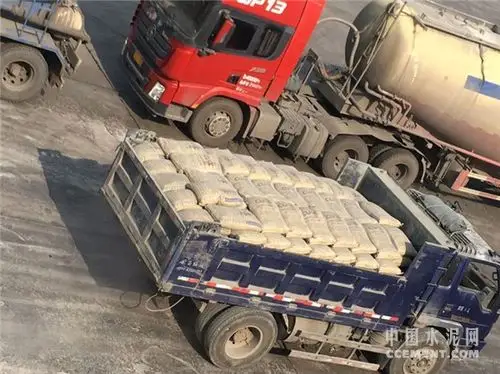 中国建材集团企业发展部领导考察袋装水泥机器人装车项目