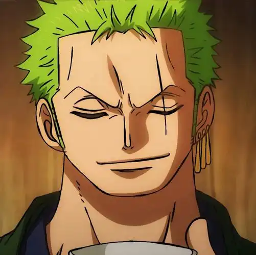 海贼王索隆  只要心从正义,哪里都有光