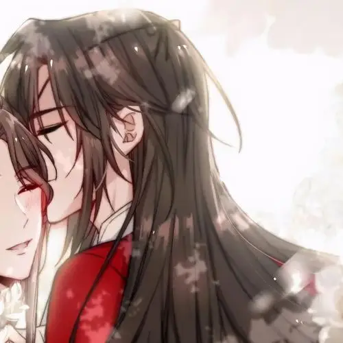 私藏的天官赐福头像,花城谢怜太美了