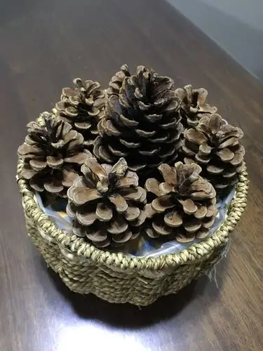 党的号召,变垃圾为宝,经过意想把大自然中垃圾做成古雅美观插花艺术品