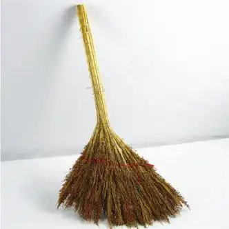 蚂蚁庄园2月5日答案最新-2021蚂蚁庄园2.5今日答案汇总-贝比手游网