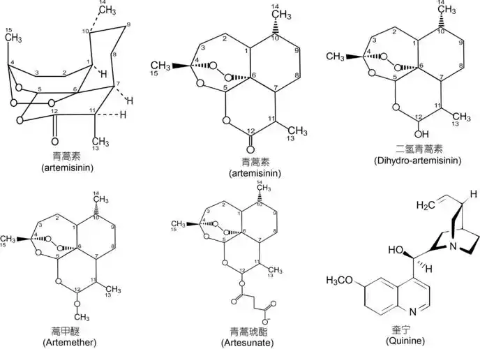青蒿素作为有效抗疟疾药物的发现: 一个不同寻常的中国故事