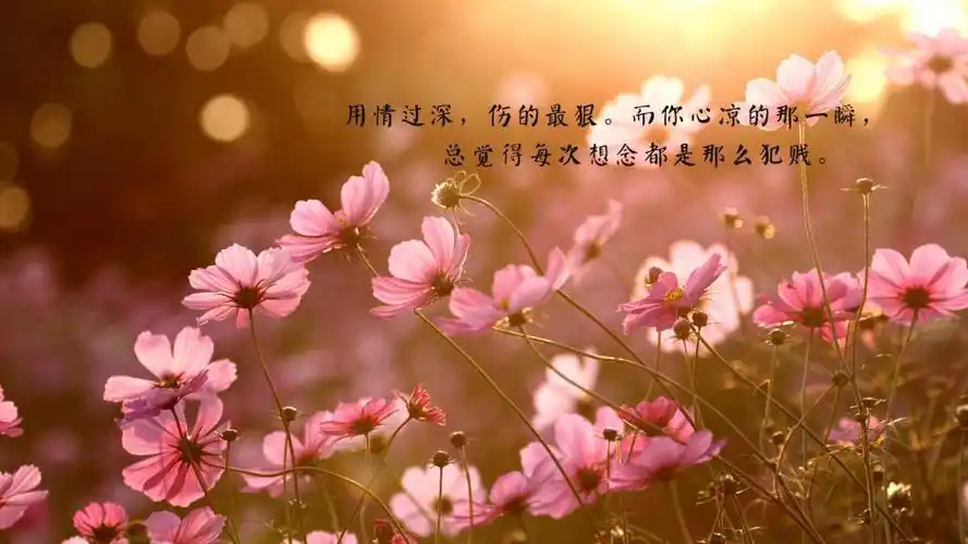 心凉透了句子说说心情图片