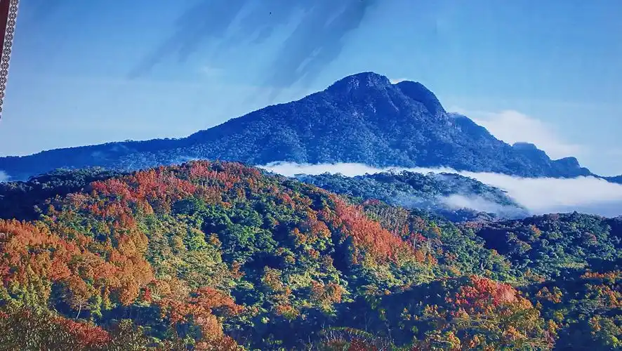 海南最高峰"五指山"一日游 - 美篇