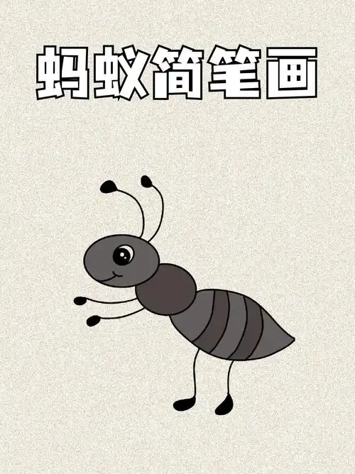 蚂蚁简笔画 我一直认为蚂蚁这种动物非常厉害,它们具有社会性,还有