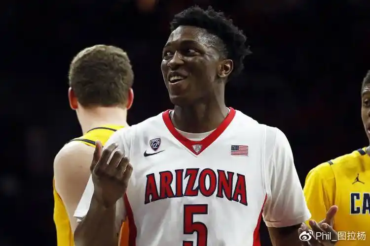 亚利桑那大学期间的stanley johnson