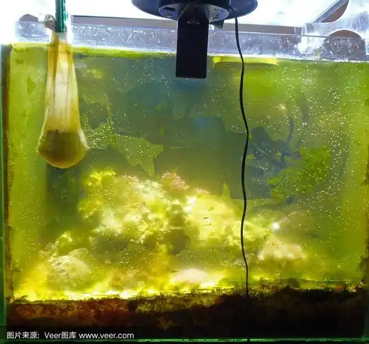 废弃的海洋水族馆