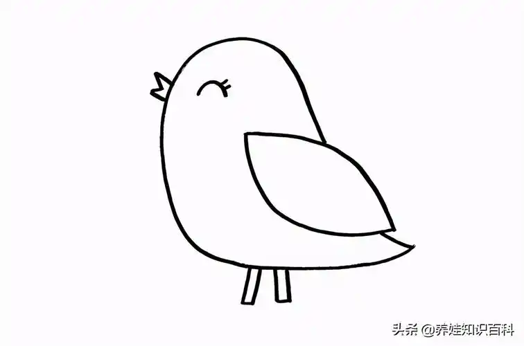 小鸟怎么画简单