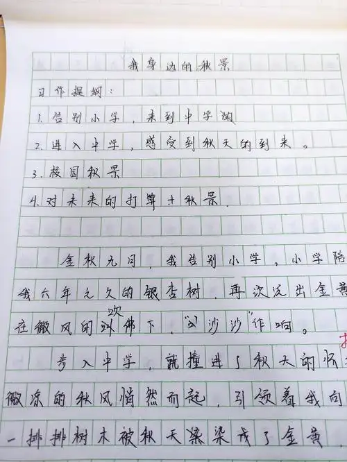 杨润梅老师要求的作文提纲