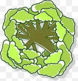 树俯视图简笔画怎么画城市道路俯视图简笔画设计效果