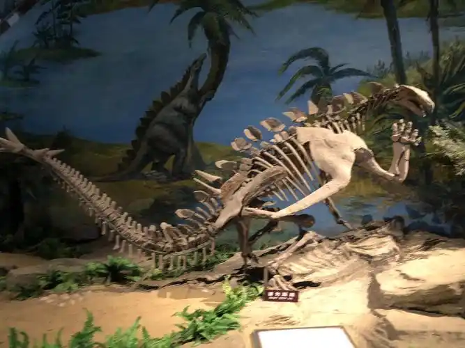 自贡恐龙博物馆