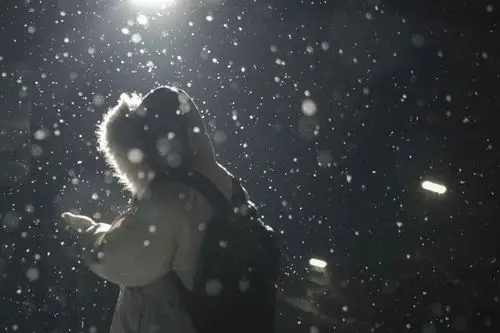 小雪大雪 直到白头传传想陪着大家走过四季人间共白头天地初飘雪慢慢