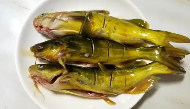 黄骨鱼功效强大,家常做法好吃又下饭,色香味俱全!