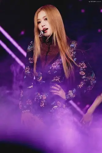 blackpink 朴彩英 rosé