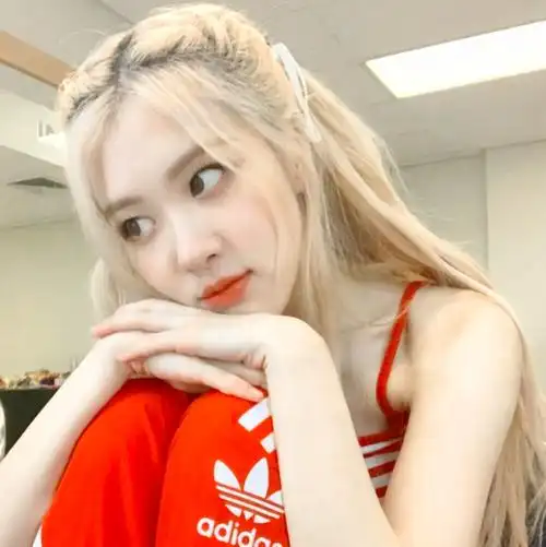 "你野蛮生长 是我见过最美的玫瑰." rosé朴彩英头像.