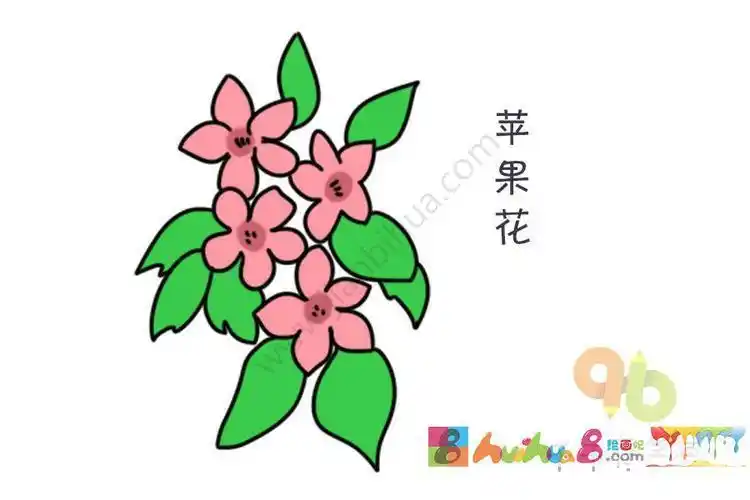 简笔画苹果花朵