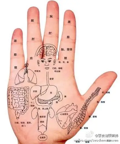 【保健按摩】人的手掌与人的全身器官有着千丝万缕的联系,在适当的