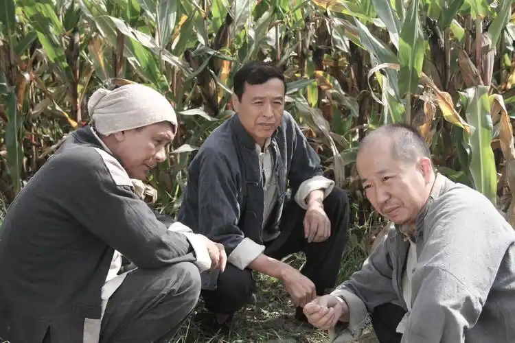 党的女儿—尹灵芝