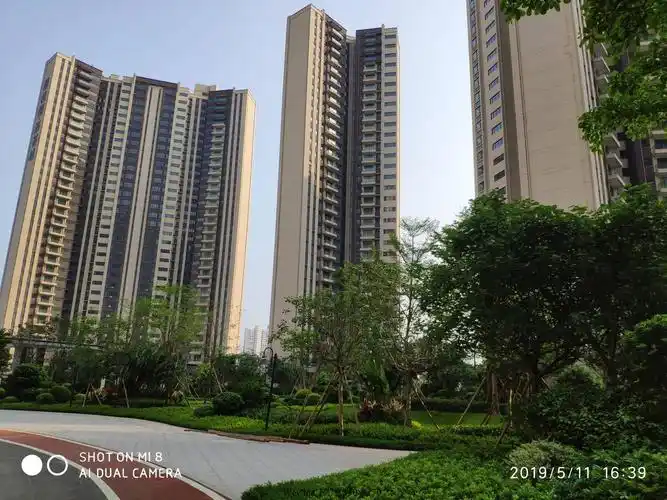 碧桂园深荟城三期备案均价18000元航拍