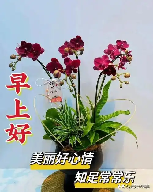 11月22日精选早安暖心祝福图片带字,群发温馨的问候祝福语大全