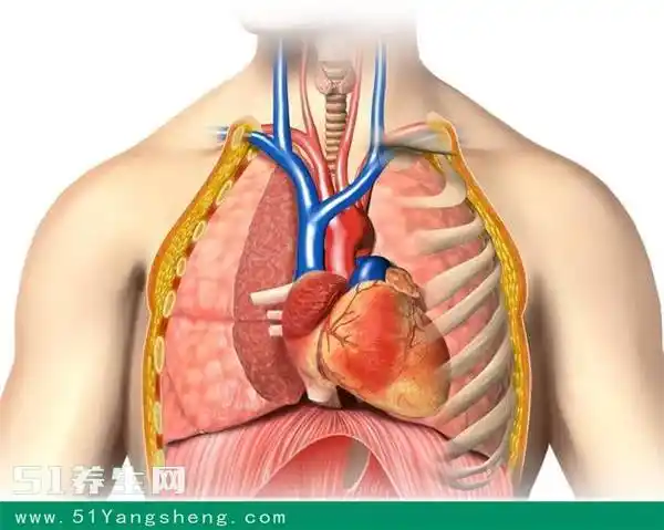 身体有这5种特征的男性,更容易患上冠心病,心梗