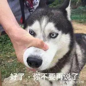 男朋友送我的女生节礼物,手动狗头!